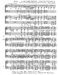 123 Medley - The Circle Of Life — sheet music preview, arranged by Penny Hock