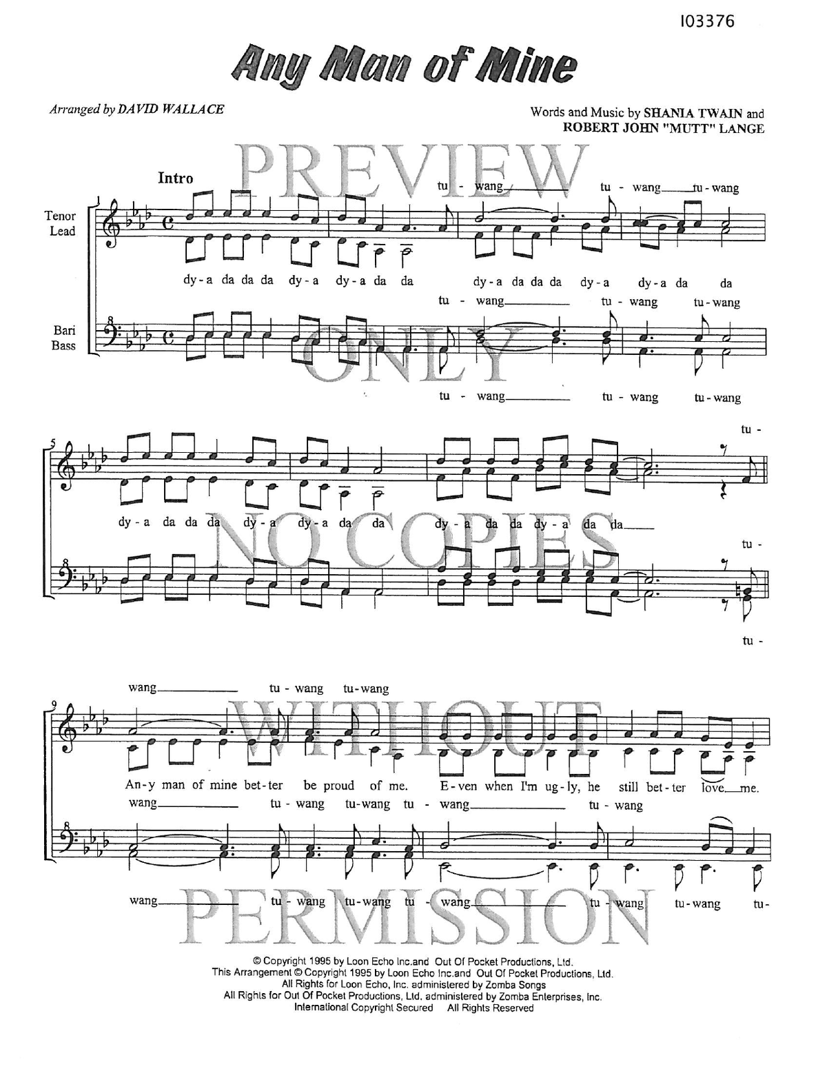 Any Man Of Mine — sheet music preview, arranged by David Wallace