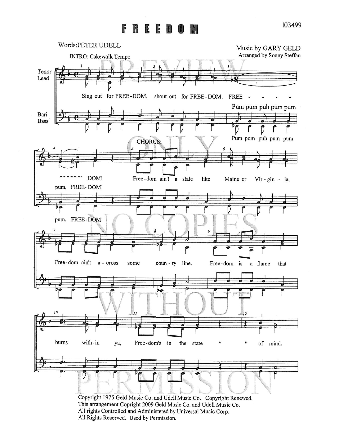 Freedom From 'Shenandoah' — sheet music preview, arranged by Sonny Steffan