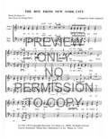 Boy From New York City — sheet music preview, arranged by Tedda Lippincott