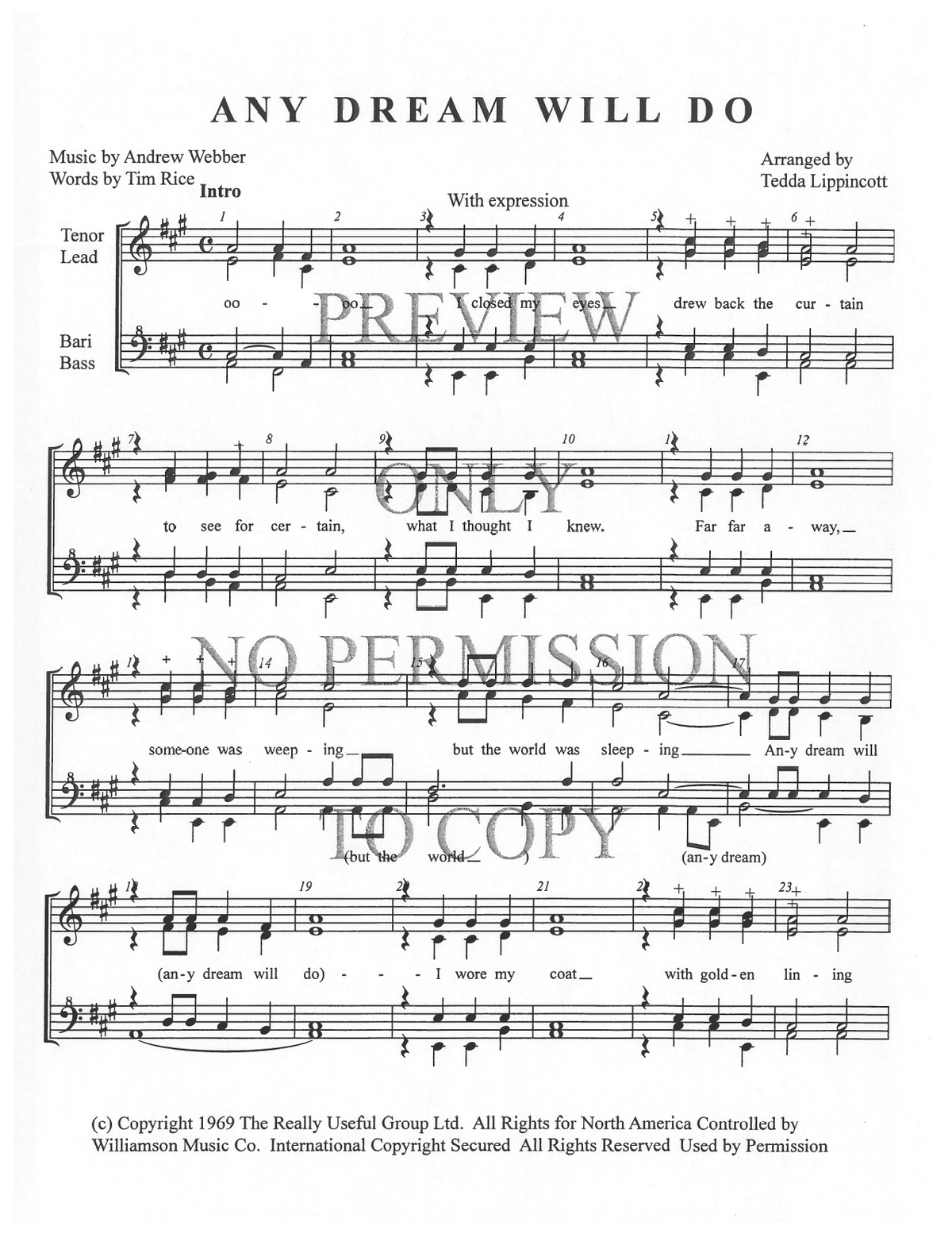 Any Dream Will Do — sheet music preview, arranged by Tedda Lippincott