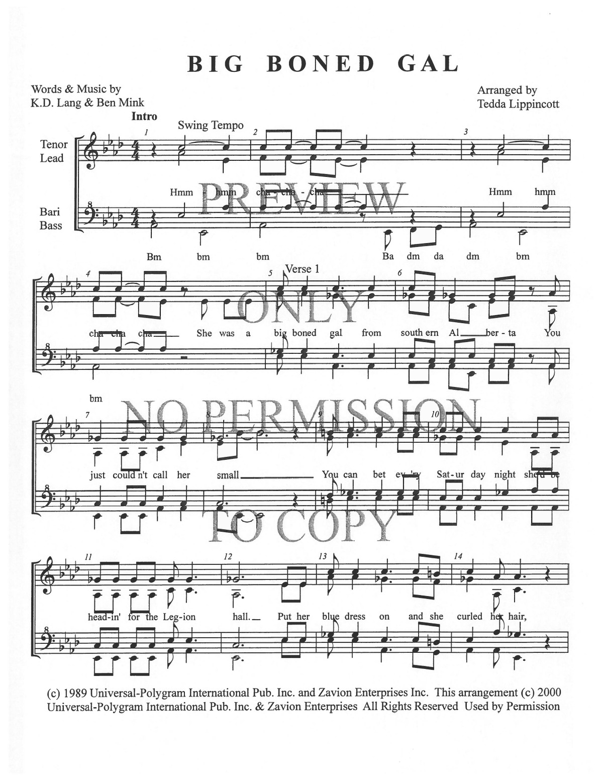 Big Boned Gal — sheet music preview, arranged by Tedda Lippincott