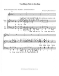 Too Many Fish In The Sea — sheet music preview, arranged by Michael Gellert