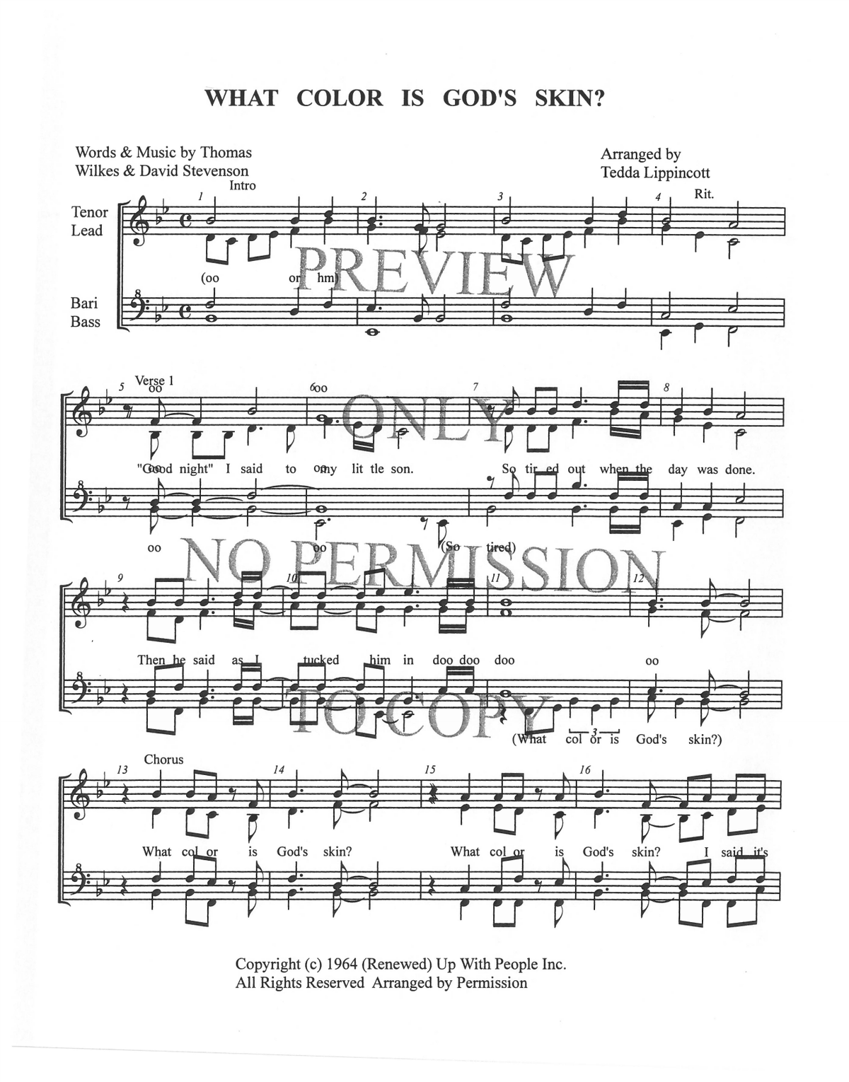 What Color Is God's Skin? — sheet music preview, arranged by Tedda Lippincott
