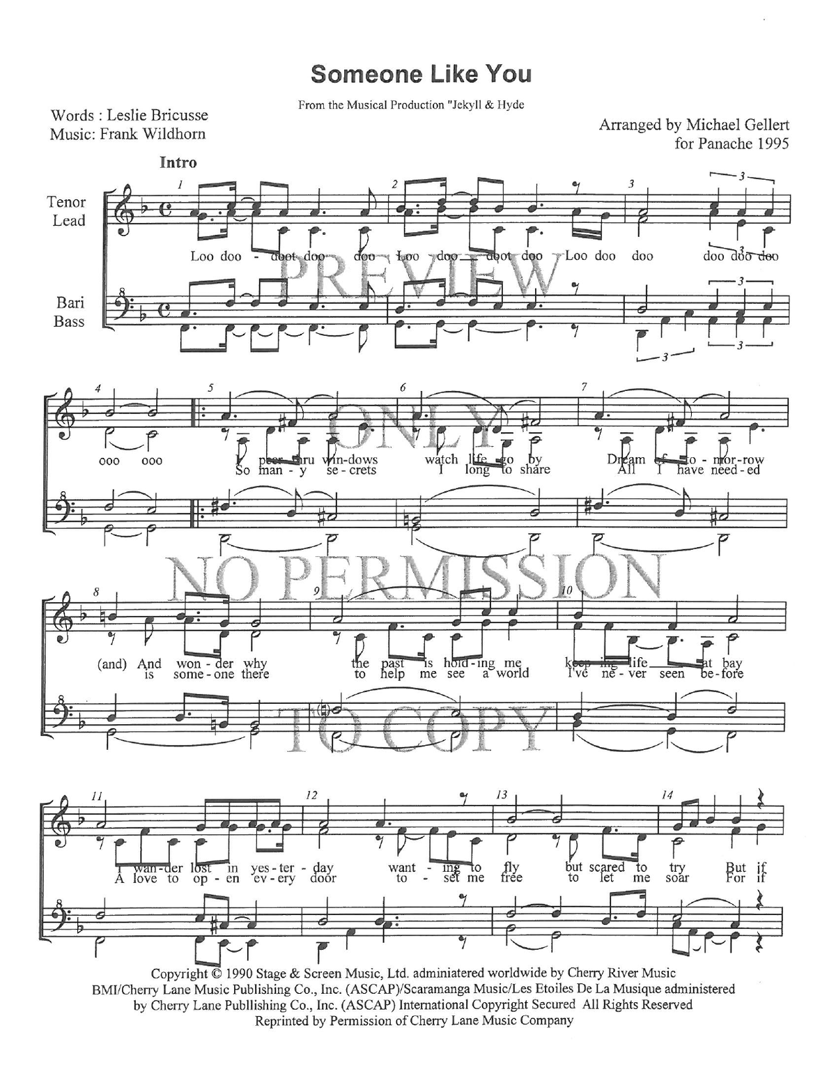 Someone Like You — sheet music preview, arranged by Michael Gellert