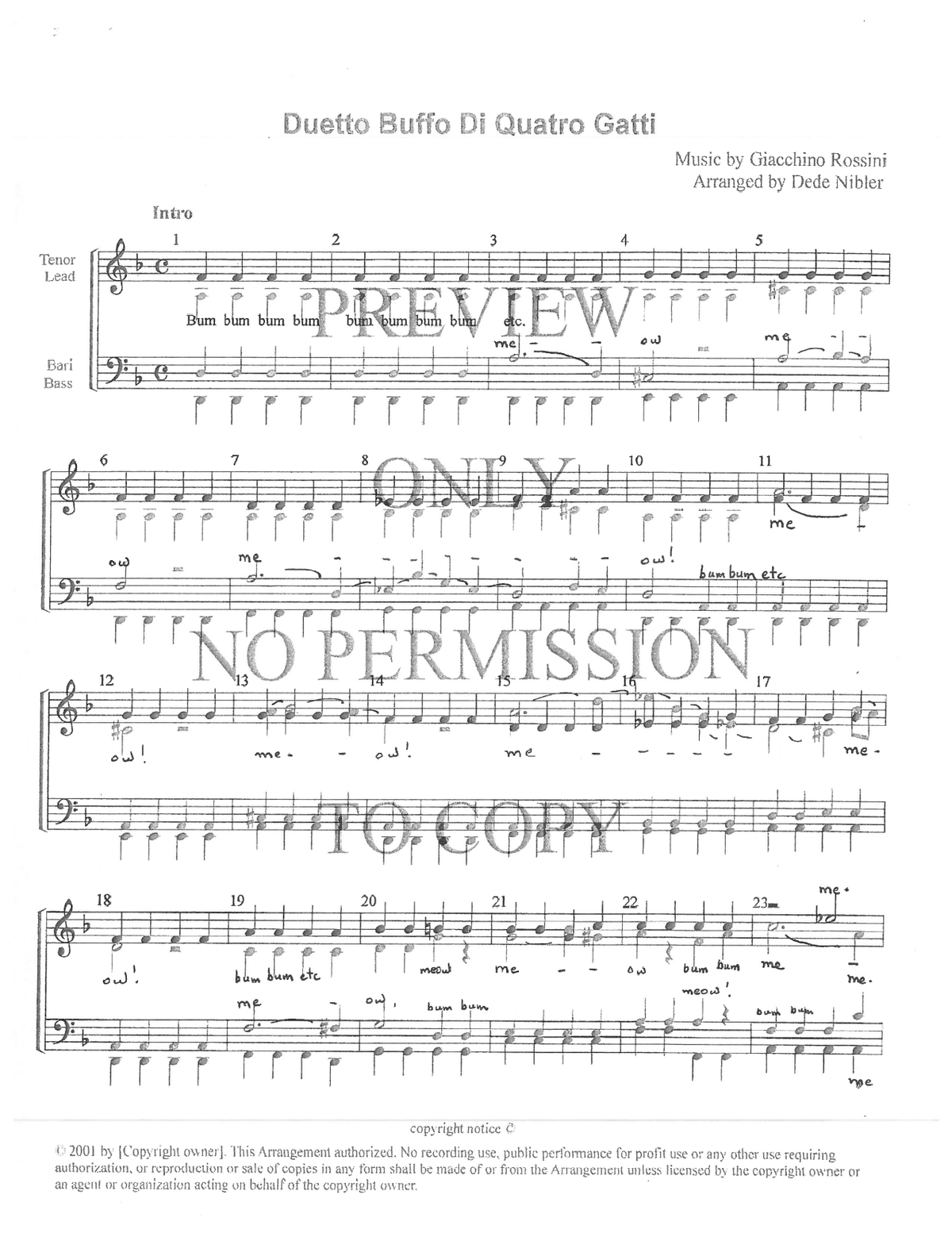 Duetto Buffo Di Due Gatti — sheet music preview, arranged by Dede Nibler